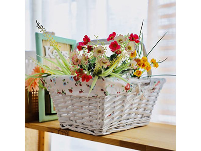 Cesta de Piquenique Interna com Bolsas Isoladas de Tecido Entrega de Cesta Vegetariana