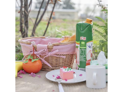 Cestas de Piquenique de Lascas de Madeira Tecidas Armazenamento Dobrável Internacional